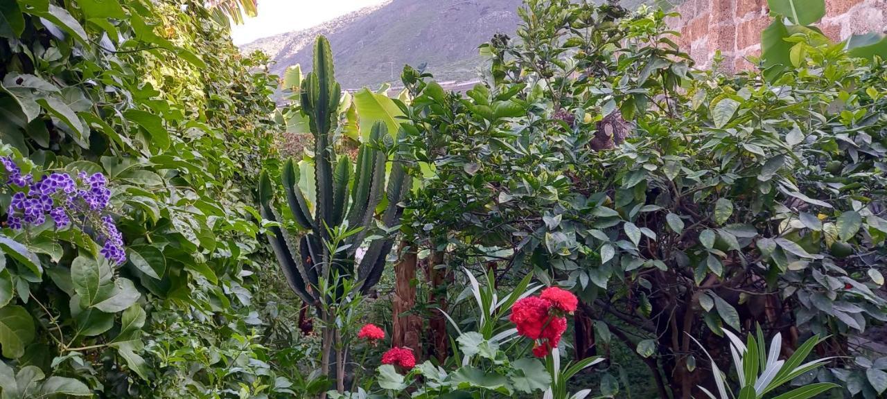 Happy Hello Vakantiehuis Garachico (Tenerife)
